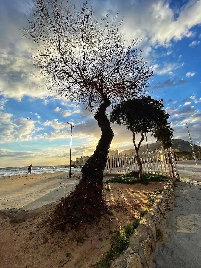 باليرمو Ashur Mondello